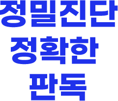정밀 진단 정확한 판독